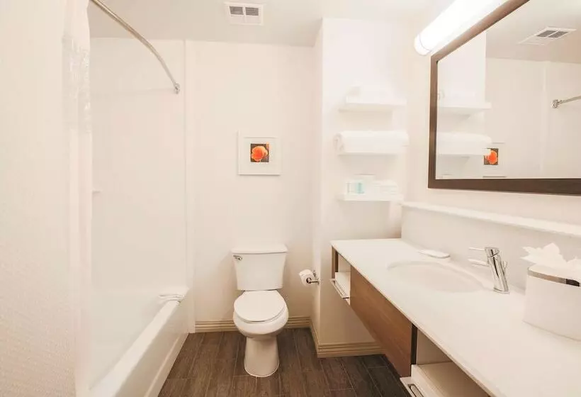 استودیوی استاندارد, Hampton Inn And Suites Camarillo