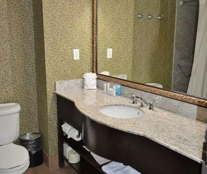 スタンダードルーム, Hampton Inn & Suites Houston Katy