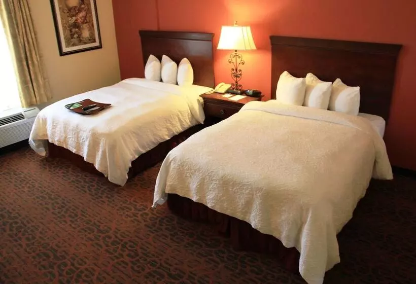 スタンダードルーム, Hampton Inn & Suites Houston Katy