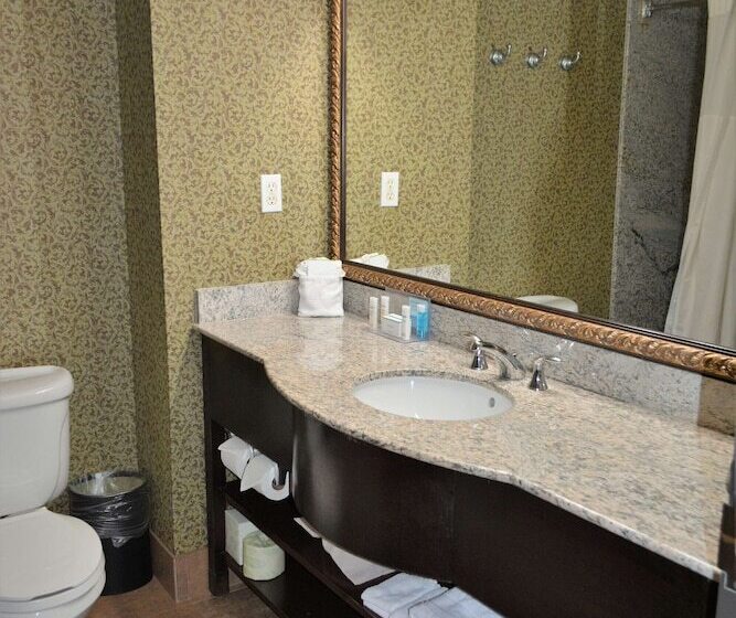스위트, Hampton Inn & Suites Houston Katy