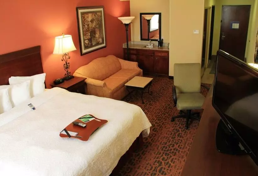 スイート, Hampton Inn & Suites Houston Katy