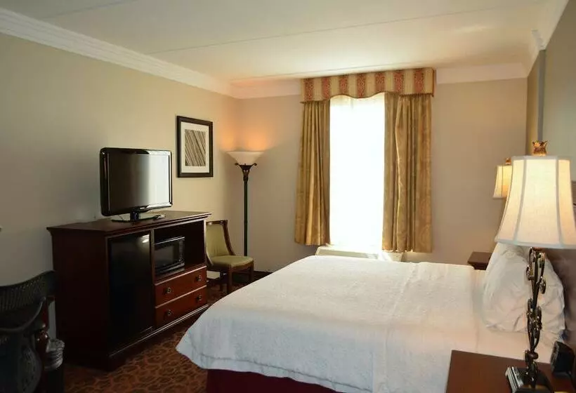 スイート, Hampton Inn & Suites Houston Katy