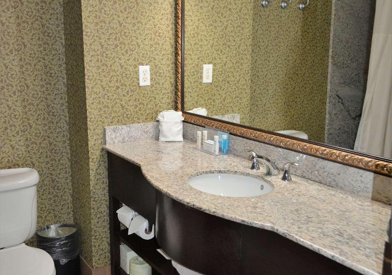 스탠다드 룸 킹사이즈 침대, Hampton Inn & Suites Houston Katy
