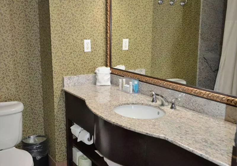 キングサイズベッドのスタンダードルーム, Hampton Inn & Suites Houston Katy