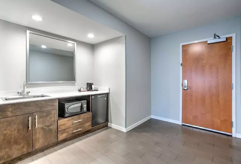 ダブルベッドのスタンダードスタジオ, Hampton Inn & Suites Macon I 475