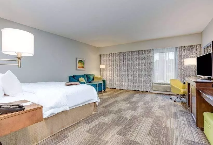 ダブルベッドのスタンダードスタジオ, Hampton Inn & Suites Macon I 475