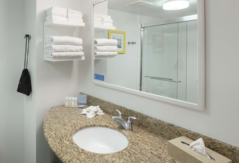 חדר סטנדרט, Hampton Inn Austinround Rock