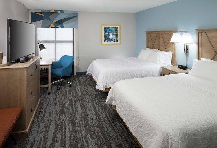 חדר סטנדרט, Hampton Inn Austinround Rock