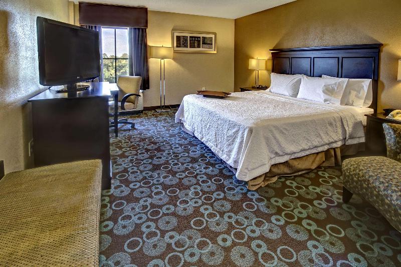 חדר סטנדרט עם מיטת קינג, Hampton Inn Biloxi