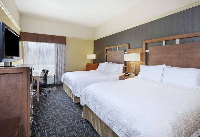 غرفه قياسيه سريرين مزدوجين, Hampton Inn Clinton