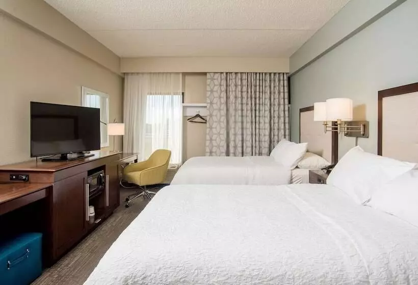 اتاق استاندارد با 2 تخت دوبل, Hampton Inn Joplin