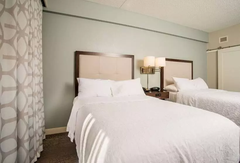 اتاق استاندارد با 2 تخت دوبل, Hampton Inn Joplin