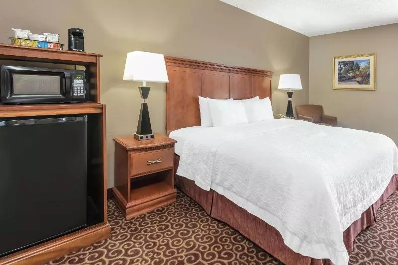 اتاق استاندارد با تخت بزرگ, Hampton Inn Lincoln   South/heritage Park