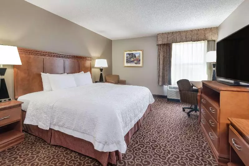اتاق استاندارد با تخت بزرگ, Hampton Inn Lincoln   South/heritage Park