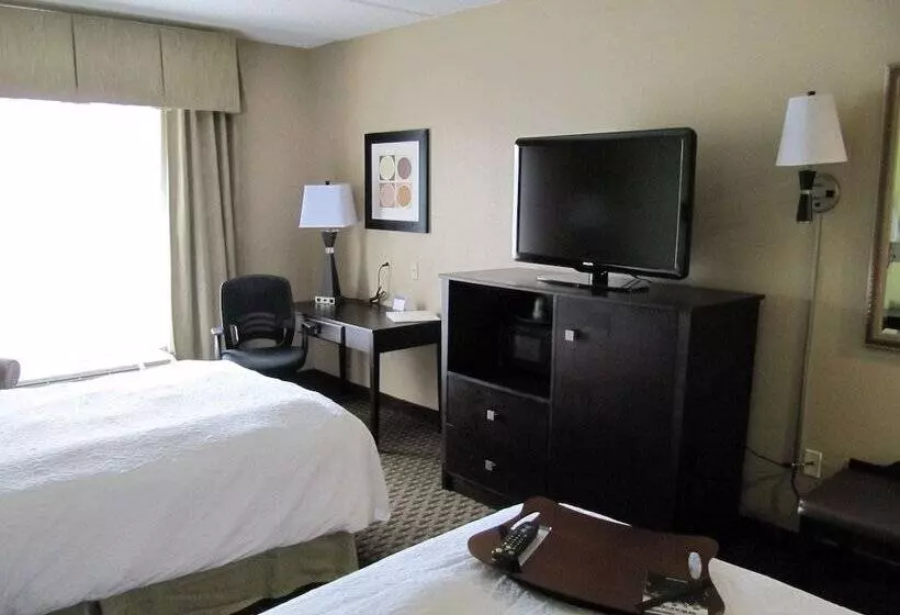 2ダブルベッドのスタンダードルーム, Hampton Inn Lindale/tyler
