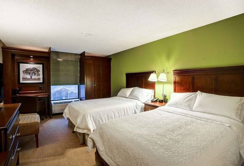 غرفه قياسيه سريرين مزدوجين, Hampton Inn Morgantown