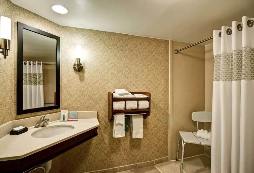 身障者適用スタンダードルーム, Hampton Inn Morgantown
