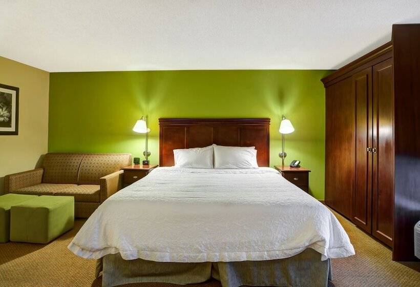 غرفة قياسية لذوى الاحتياجات الخاصة, Hampton Inn Morgantown