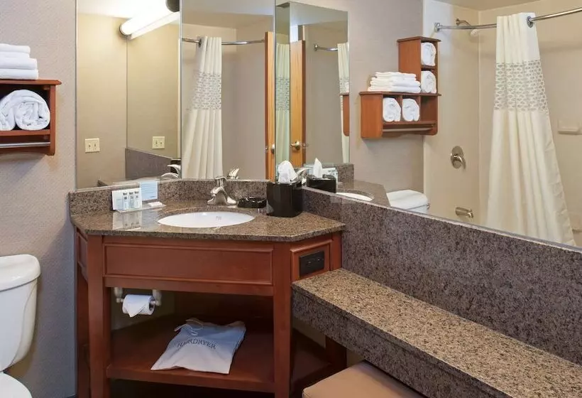 身障者適用スタンダードルーム, Hampton Inn Muskegon