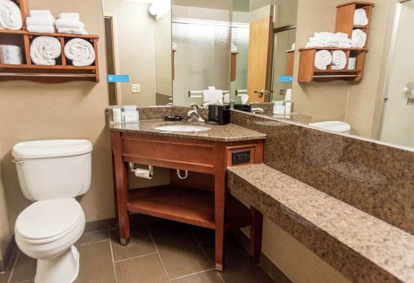 غرفة قياسية لذوى الاحتياجات الخاصة, Hampton Inn Muskegon