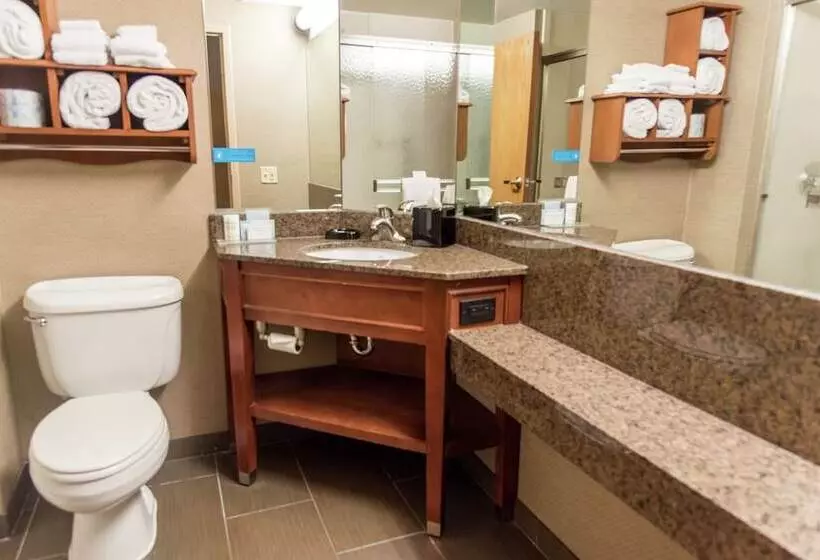 身障者適用スタンダードルーム, Hampton Inn Muskegon