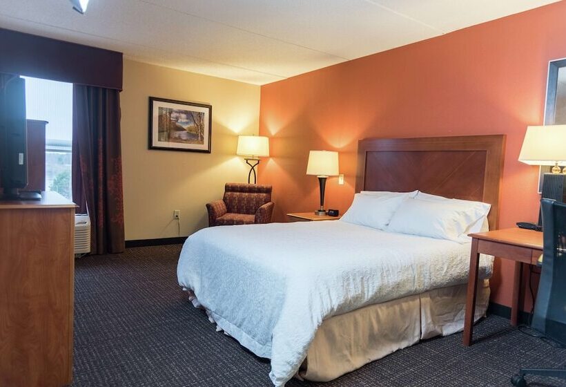 غرفة قياسية لذوى الاحتياجات الخاصة, Hampton Inn Muskegon