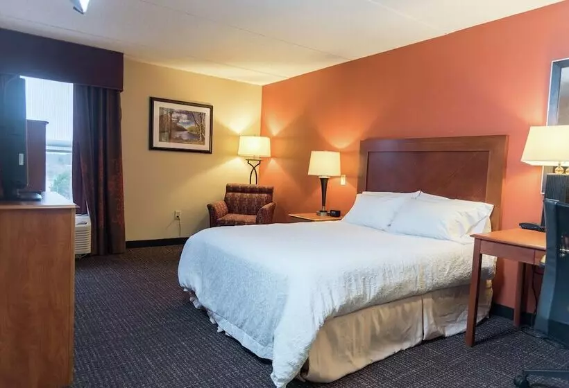 身障者適用スタンダードルーム, Hampton Inn Muskegon