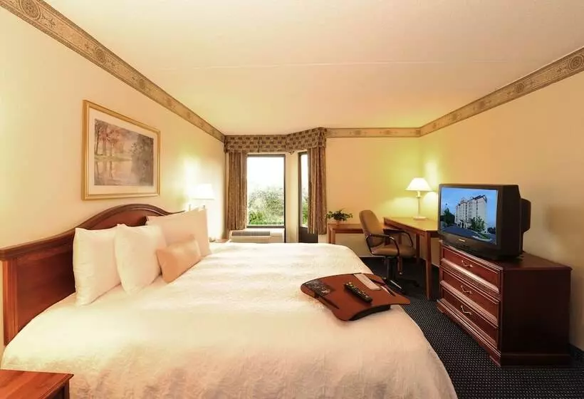 سوییت, Hampton Inn & Suites Atlantagalleria