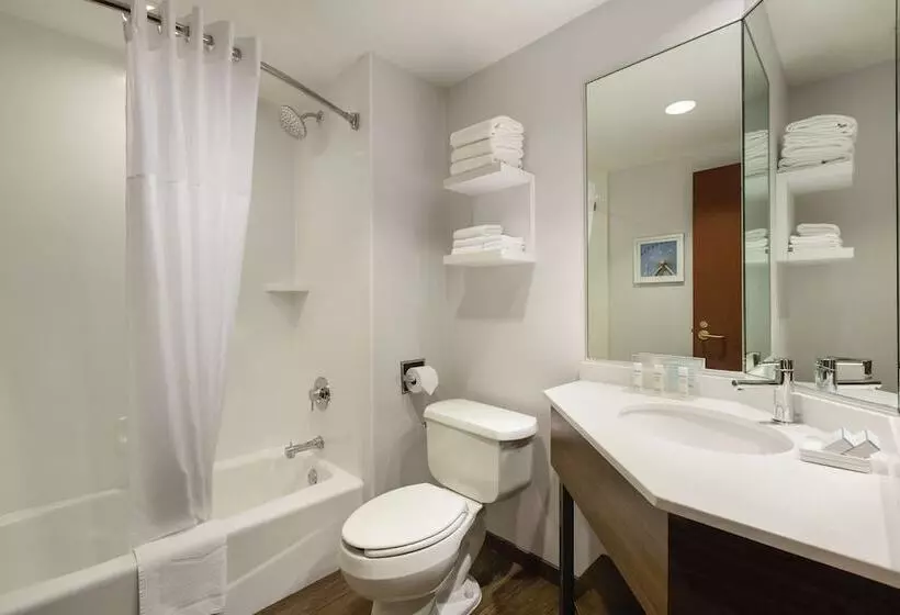 ２ダブルベッドのスタンダードルーム, Hampton Inn & Suites Dallasmesquite