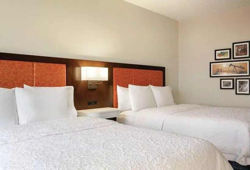 ２ダブルベッドのスタンダードルーム, Hampton Inn & Suites Dallasmesquite