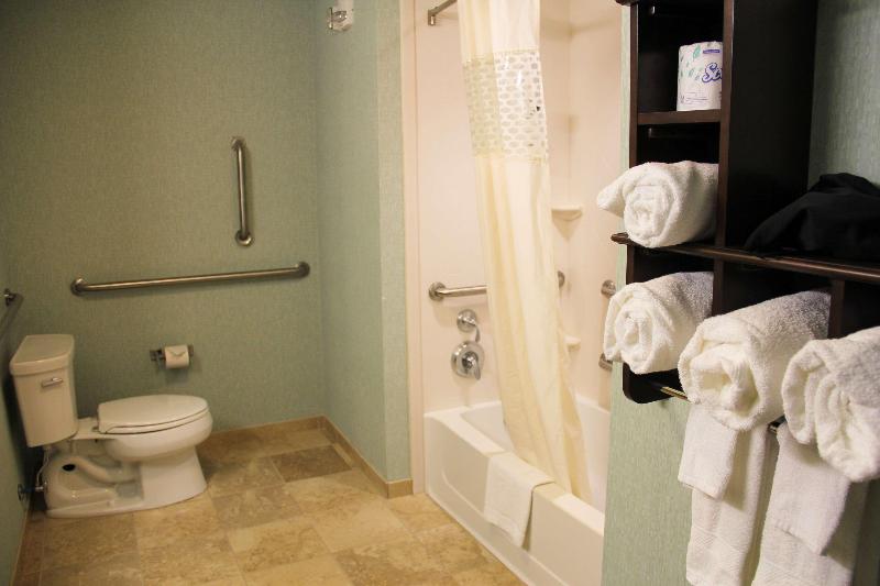 Camera Standard Letto King Accessibile ai persone con mobilità ridotta, Hampton Inn & Suites Destin
