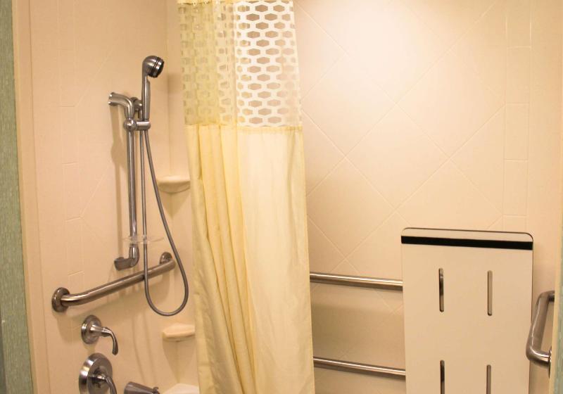 Camera Standard Accessibile ai Disabili, Hampton Inn & Suites Destin