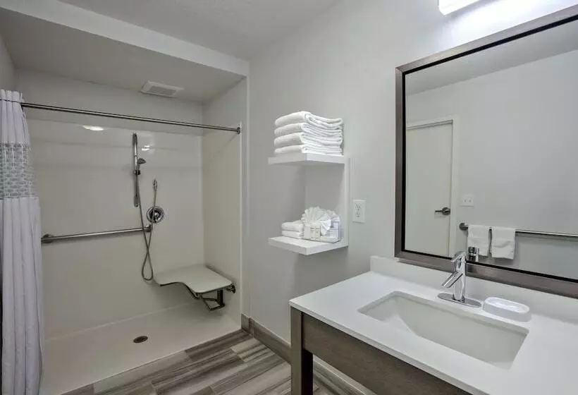 اتاق استاندارد با 2 تخت دوبل, Hampton Inn & Suites Hermosa Beach