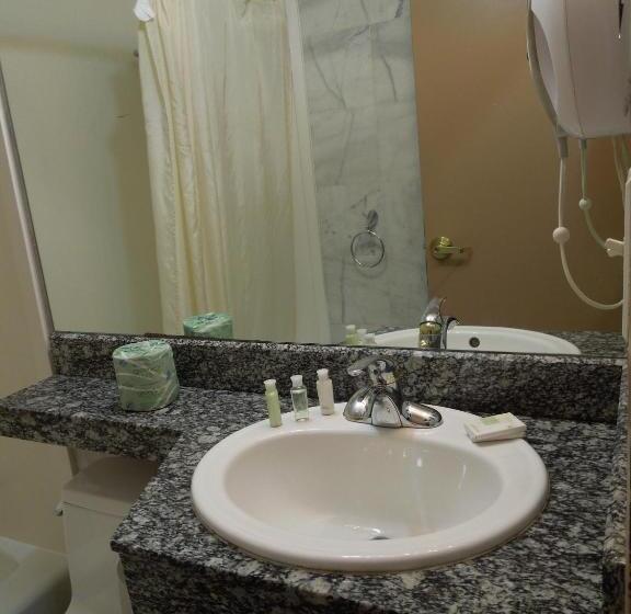 스탠다드 룸, Red Carpet Inn Brooklyn