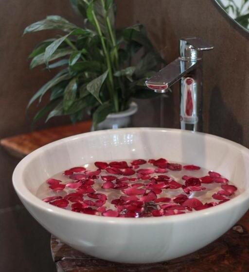 اتاق استاندارد با تخت بزرگ, ᴛᴀᴍ ᴄᴏᴄ ᴄᴏᴄᴏᴏɴ ʜᴏᴍᴇsᴛᴀʏ