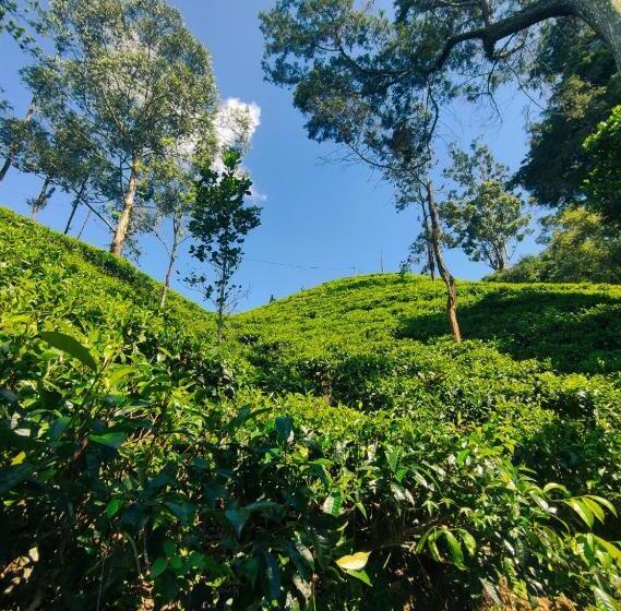 Cameră Familiară Deluxe, Pepper Garden Resort