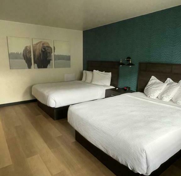 غرفة قياسية, The Scout Inn