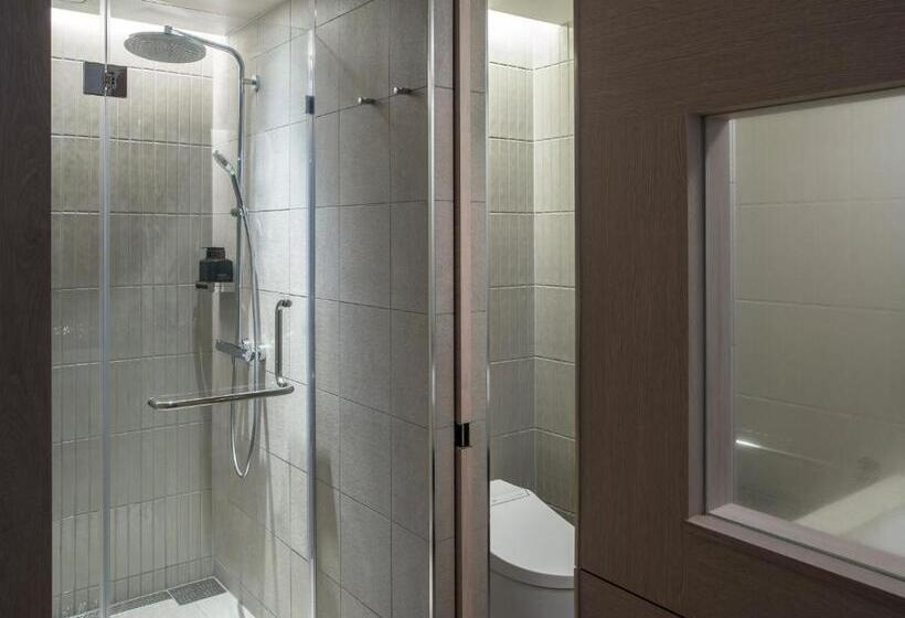 إستوديو قياسى, Zentis Osaka