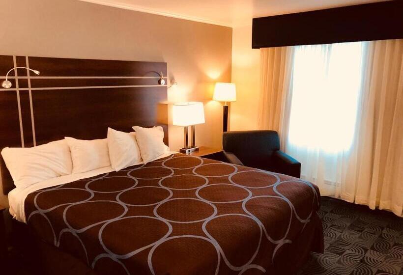 带大床的标准间, Berkshire Inn