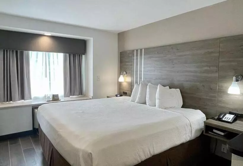 キングサイズベッドのデラックススイート, Best Western Roanoke Inn & Suites