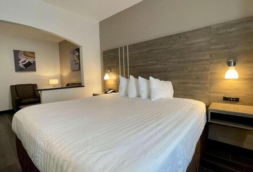 Люкс Deluxe Кровать Кинг, Best Western Roanoke Inn & Suites