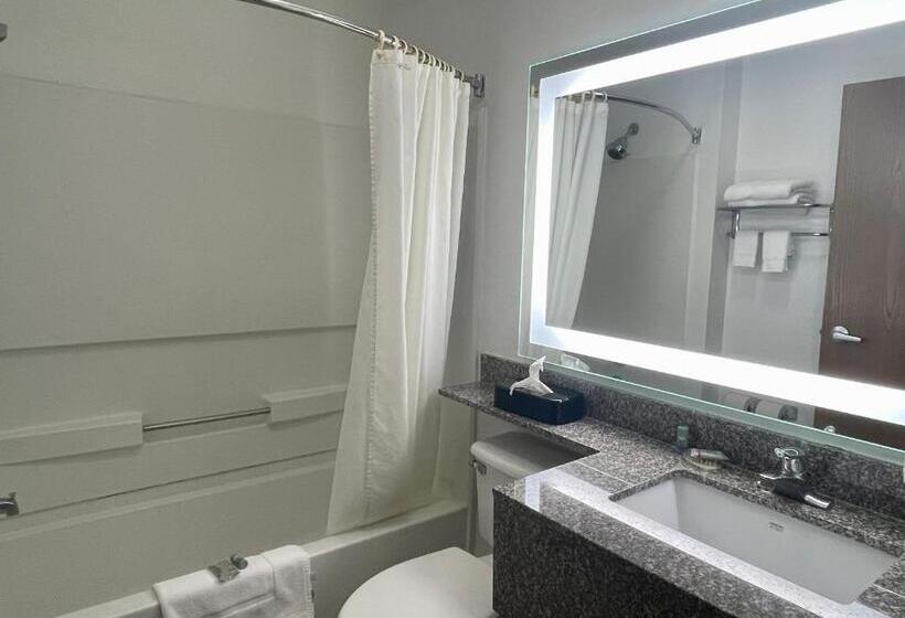 Номер Стандарт, Best Western Roanoke Inn & Suites
