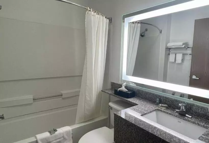 スタンダードルーム, Best Western Roanoke Inn & Suites