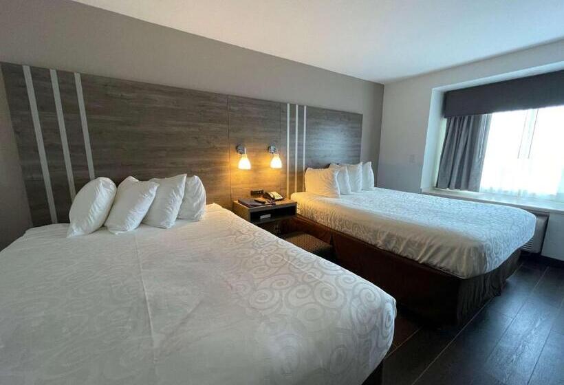 חדר סטנדרט, Best Western Roanoke Inn & Suites