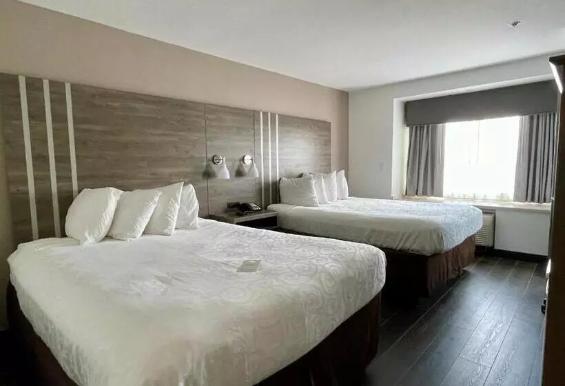 身障者適用スタンダードルーム, Best Western Roanoke Inn & Suites