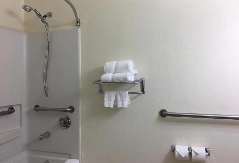 חדר סטנדרט מותאם לאדם עם מוגבלויות, Best Western Roanoke Inn & Suites