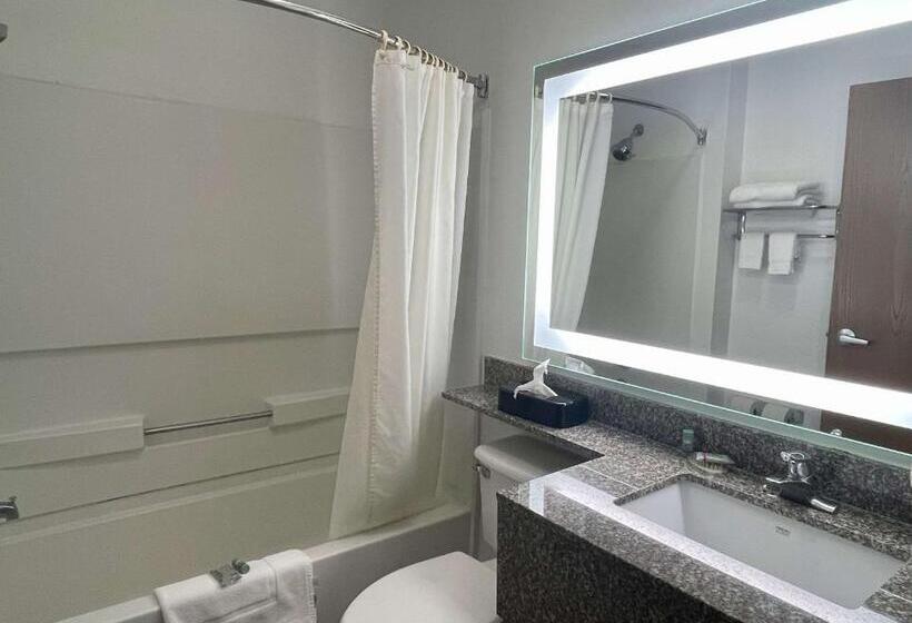 Номер Стандарт Адаптированный для Инвалидов, Best Western Roanoke Inn & Suites