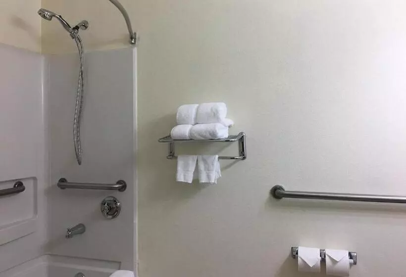 身障者適用キングサイズベッドルーム, Best Western Roanoke Inn & Suites