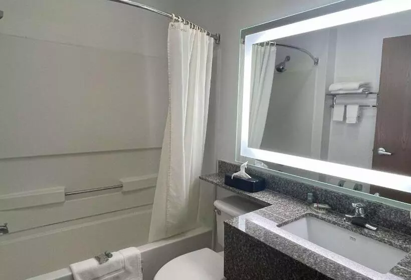 身障者適用キングサイズベッドルーム, Best Western Roanoke Inn & Suites