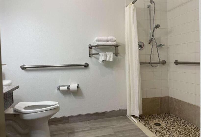 Номер Стандарт Кровать Кинг Адаптированный для Инвалидов, Best Western Roanoke Inn & Suites